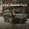 About NYC Freestyle Song