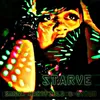 About Starve-Radio Edit Song