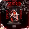 About Senorita Song