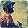 About Perreo Song