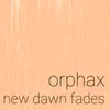 About New Dawn Fades Song