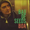 Bag of Seeds