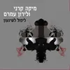 ליפול לשיגעון-רדיו