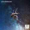 About Universumi Song