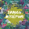 Draugu noslepumi-instrumentālais pavadījums