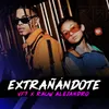 About Extrañándote Song