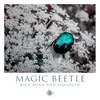 Magic Beetle