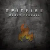 About Spitfire Song