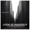 About Look at Yourself Song