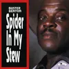 Spider in My Stew