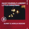 About Have Yourself a Merry Little Christmas Feat. Noelia Ringione Song