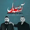 About Ashofteh Del Song