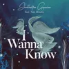 About I Wanna Know Song