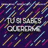 About Tu Si Sabes Quererme Song