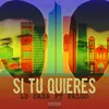 About Si Tu Quieres Song