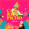 About Carrapicho Song