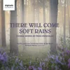 About Spring Rain Song