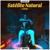 About Satélite Natural Song