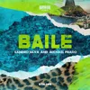 About Baile Song