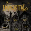 Immortal Riddim Medley-Medley Mix