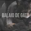 Balaio de Gato