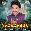 About Sharabaan Song