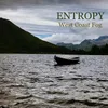 Entropy