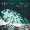 About A Journey to the Sea Song