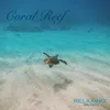 About Coral Reef Song