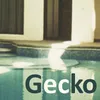 About Gecko Song