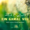 About Ein Gamal veg Song