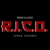 About R.I.C.O. Song