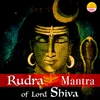 About Rudra Mantra of Lord Shiva (Om Namo Bhagwate Rudraya) Song