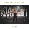 About Gertçekten Asalak Song