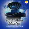 About Lord Shiva Mantra (Om Aim Samb Sada Shivaya Namah) Song