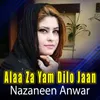 About Alaa Za Yam Dilo Jaan Song