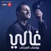 About غالي Song