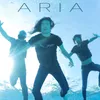 Aria-Video Edit