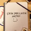 About Şirin Şarkıların Hastası Song