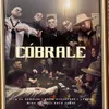 About Cobrale Song