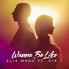 About Wanna Be Like (feat. čis T) Song