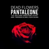 About Dead Flowers Song