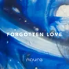 About Forgotten Love Song