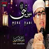 About Mere Nabi Song