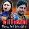 Teri Deewani