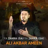 Ya Zahra (Sa) Ya Zahra (Sa)