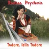 Todore, lelin Todore