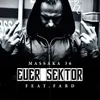 About Euer Sektor Song