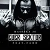 Euer Sektor