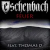 About Feuer (feat. Thomas D.) Song